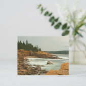 メイン州アカディア国立公園クラギー海岸 ポストカード (スタンド正面)