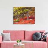 メイン州アカディア国立公園 キャンバスプリント (インサイチュ (リビング))