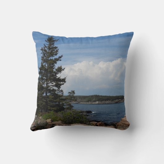 メイン州アカディア国立公園 クッション (裏面)