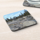 メイン州アカディア国立公園 コースター (左側)