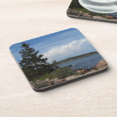 メイン州アカディア国立公園 コースター (左側)