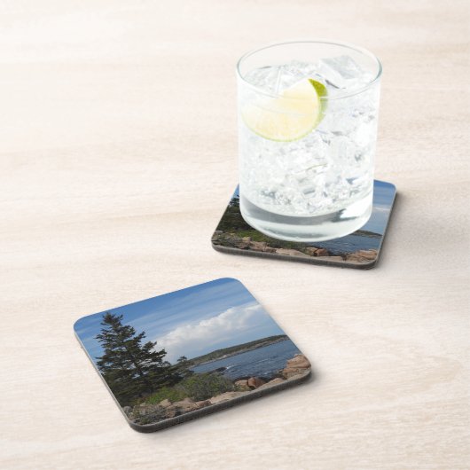 メイン州アカディア国立公園 コースター (右側)