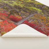 メイン州アカディア国立公園 シェルパブランケット (3/4)