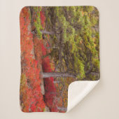 メイン州アカディア国立公園 シェルパブランケット (正面)