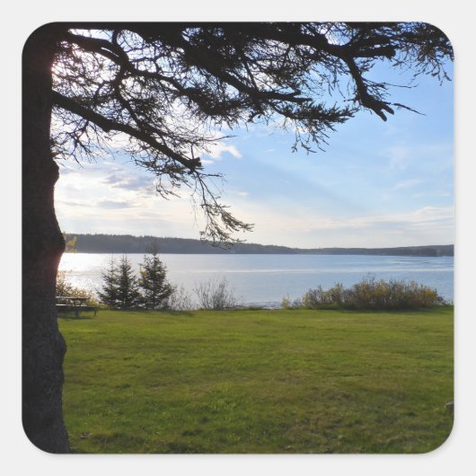 メイン州アカディア国立公園 スクエアシール (正面)