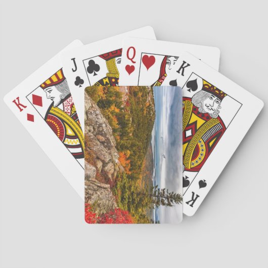 メイン州アカディア国立公園 トランプ (裏面)