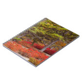 メイン州アカディア国立公園 ノートブック (左側)