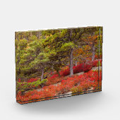 メイン州アカディア国立公園 フォトブロック (左)