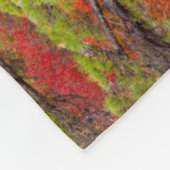 メイン州アカディア国立公園 フリースブランケット (角)