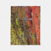 メイン州アカディア国立公園 フリースブランケット (正面)