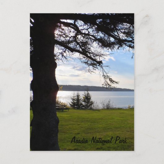 メイン州アカディア国立公園 ポストカード (正面)