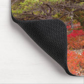 メイン州アカディア国立公園 マウスパッド (コーナー)