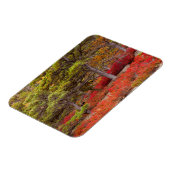 メイン州アカディア国立公園 マグネット (左側)