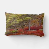 メイン州アカディア国立公園 ランバークッション (裏面)