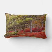 メイン州アカディア国立公園 ランバークッション (正面)