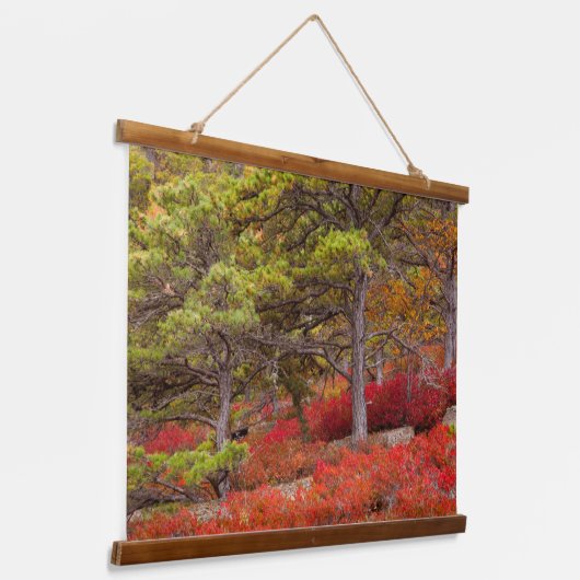メイン州アカディア国立公園 吊り下げ型タペストリー (傾斜あり)