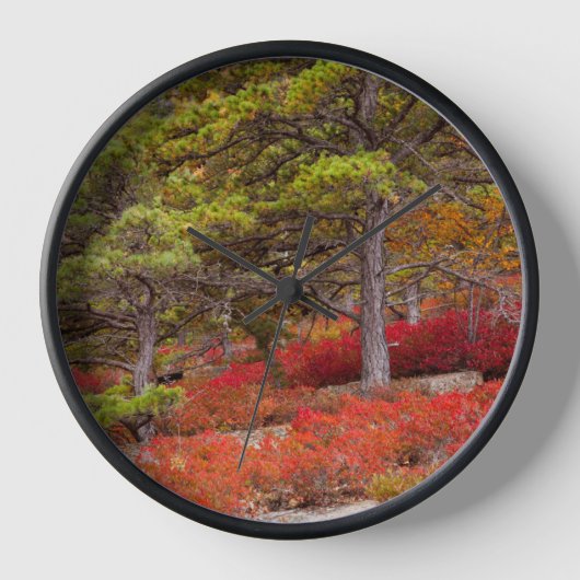 メイン州アカディア国立公園 壁時計 (正面)