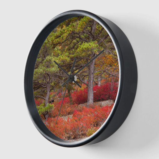 メイン州アカディア国立公園 壁時計 (傾斜)