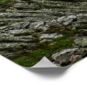 メイン州バクスター州公園の流域を探して ポスター (角)