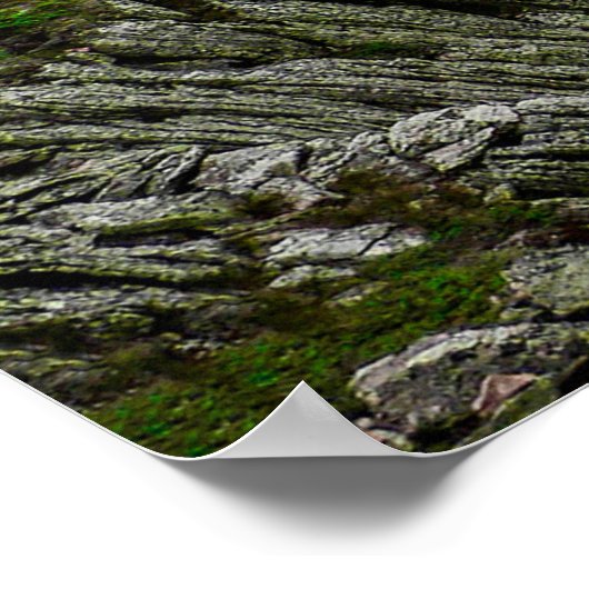 メイン州バクスター州公園の流域を探して ポスター (角)