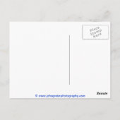 メイン州バスハーバーライトハウス ポストカード (裏面)