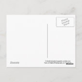 メイン州バックスポートのポストカード ポストカード (裏面)