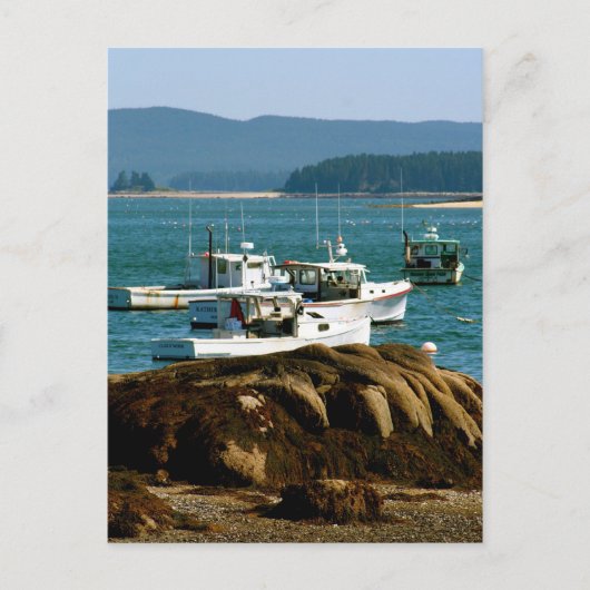 メイン州ポストカードストニントン ポストカード (正面)