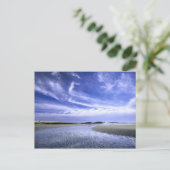 メイン州ポファムビーチ州パーク。アメリカ。サイラス ポストカード (スタンド正面)