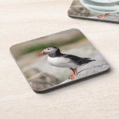 メイン州マキャスの大西洋パフィン コースター (左側)