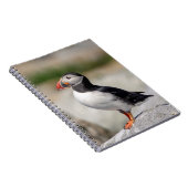 メイン州マキャスの大西洋パフィン ノートブック (右側)