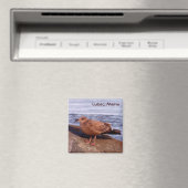 メイン州ルベックのガル マグネット (インサイチュ (食洗機))