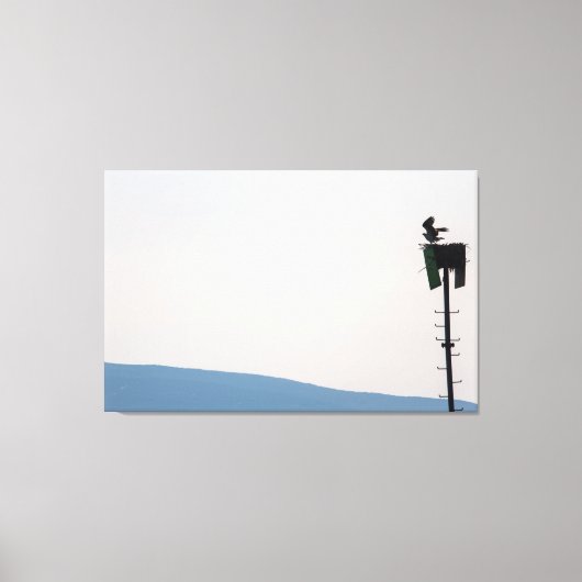 メイン州山砂漠島前のオスプレイ キャンバスプリント (正面)