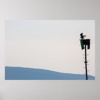 メイン州山砂漠島前のオスプレイ ポスター