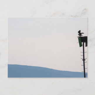 メイン州山砂漠島前のオスプレイ ポストカード