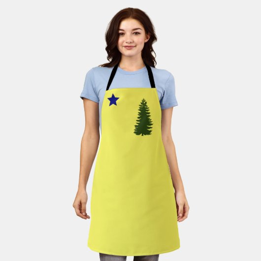 メイン州旧国旗（1901年） エプロン (着用した状態)