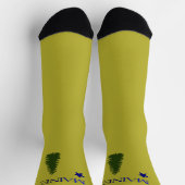 メイン州旧国旗（1901年） ソックス (上部)