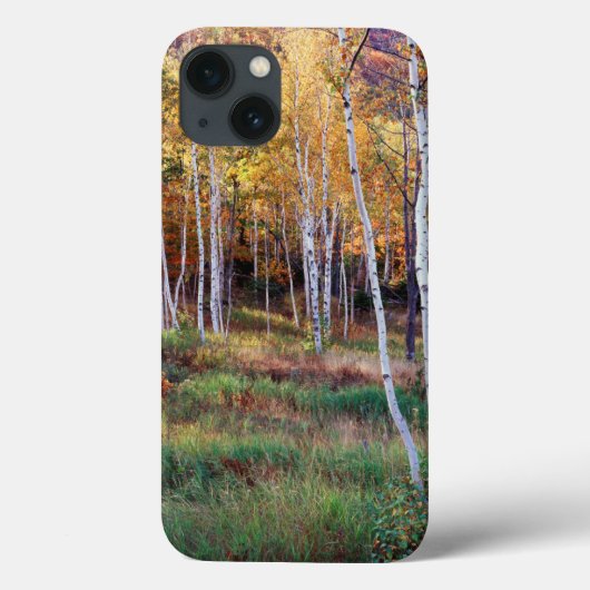 メイン州 アカディア国立公園 紅葉 Case-Mate iPhoneケース (裏面)