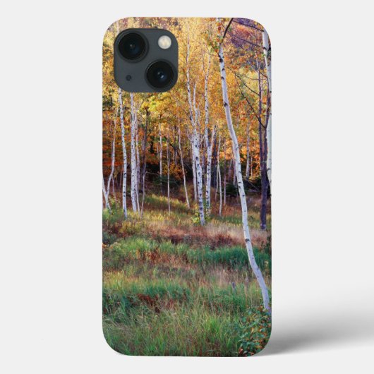メイン州 アカディア国立公園 紅葉 Case-Mate iPhoneケース (裏面)
