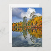 メイン州，秋の池の反射 ポストカード (正面/裏面)
