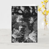 メイン潮流プール カード (黄色い花)