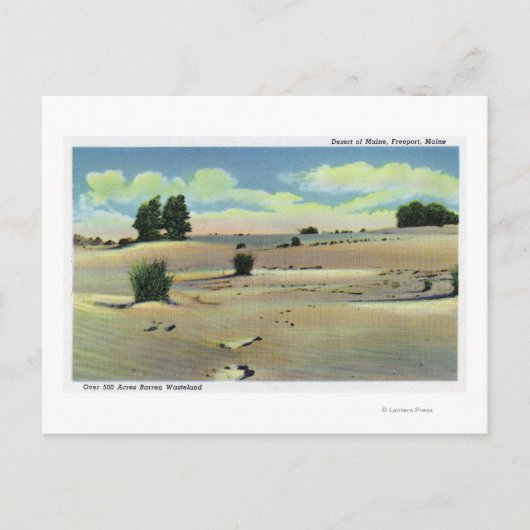 メイン砂漠の眺め ポストカード (正面)