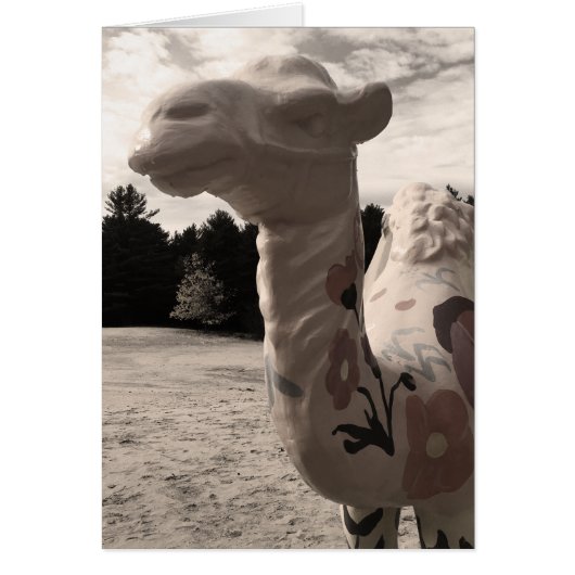 メイン砂漠 (正面)