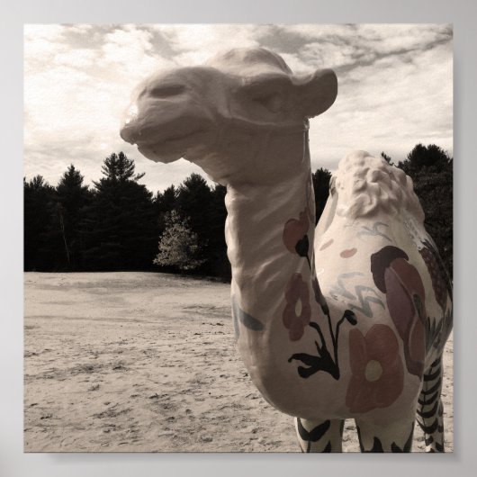 メイン砂漠 ポスター (正面)