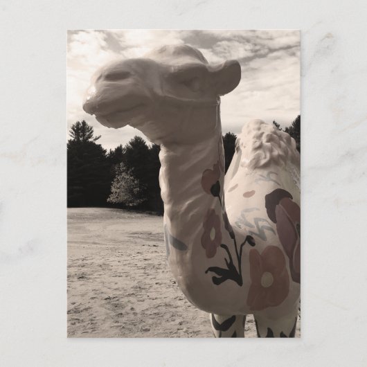 メイン砂漠 ポストカード (正面)