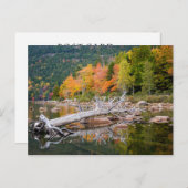 メイン秋 ポストカード (正面/裏面)