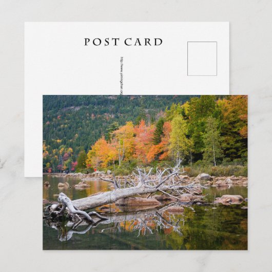 メイン秋 ポストカード (正面/裏面)