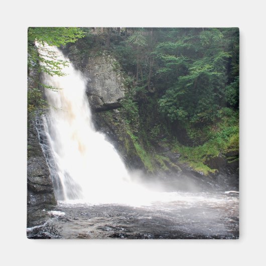 メイン秋 マグネット (正面)