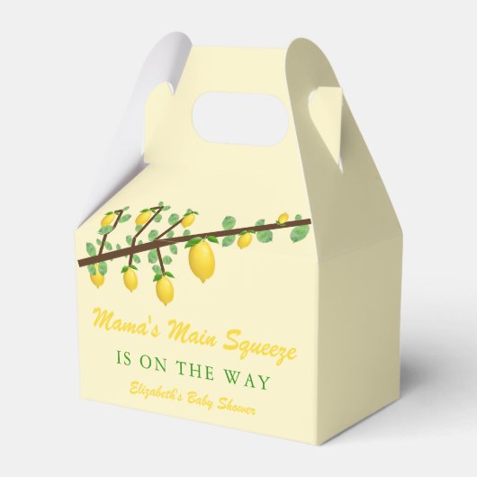 メイン絞りレモンベビー男女兼用シャワー フェイバーボックス (正面サイド)