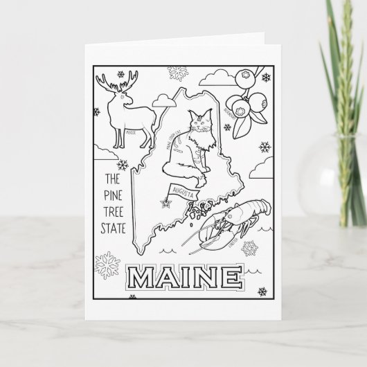 メイン色のメコラージュ シーズンカード (正面)