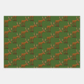 メイン野生生物 ラッピングペーパーシート (正面3)